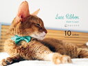 【送料無料】 necono 猫 首輪 『 Luce Ribbon 』 ルーチェリボン 子猫 おしゃれ リボン 安全 10-30cm サイズ調整 軽量 赤 全10色 日本製 猫用品 ペット用品