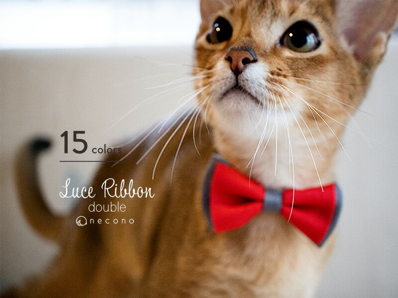 【SALE 20%OFF】 スーパーSALE期間限定！ necono 猫 首輪 『 Luce Ribbon double 』 リボン ダブル おしゃれ ギフト 安全 赤 ピンク 日本製 猫用品のサムネイル