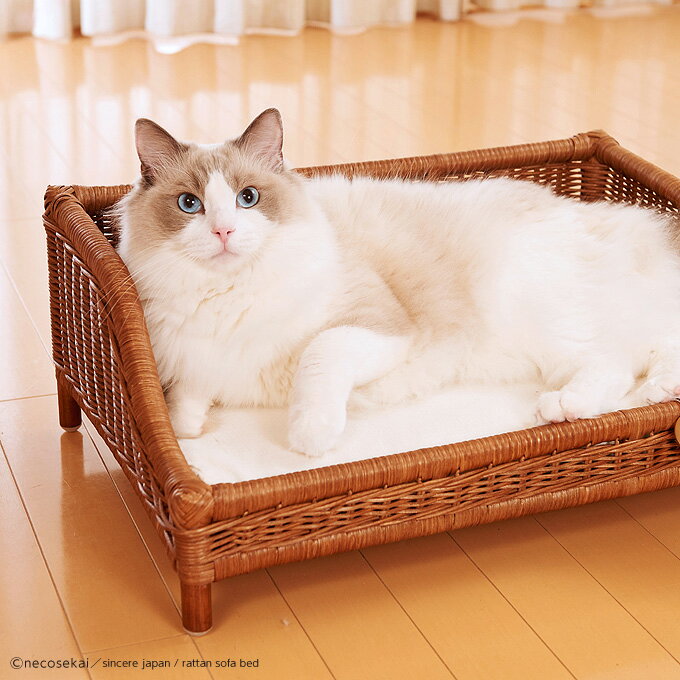 本州 四国 送料無料 Sincere Japan ラタンソファベッド 猫用品 ラタン製ベッド 猫ベッド キャットベッド ペットベッド 猫ソファ キャットソファ ペットソファ ベット 籐製品 高級 ね 本州 四国 送料無料 Sincere Japan ラタンソファベッド 猫用品 ラタン製ベッド 猫ベッド キャットベッド ペットベッド 猫ソファ キャットソファ ペットソファ ベット 籐製品 高級 ね