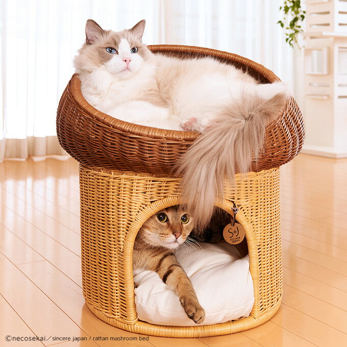 本州 四国 送料無料 Sincere Japan ラタンマッシュルームベッド 猫用品 ラタン製ベッド 猫ベッド キャットベッド ペットベッド 猫ソファ キャットソファ ペットソファ ハウス ベット 本州 四国 送料無料 Sincere Japan ラタンマッシュルームベッド 猫用品 ラタン製ベッド 猫ベッド キャットベッド ペットベッド 猫ソファ キャットソファ ペットソファ ハウス ベット
