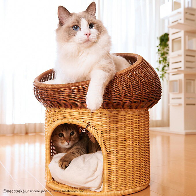 本州 四国 送料無料 Sincere Japan ラタンマッシュルームベッド 猫用品 ラタン製ベッド 猫ベッド キャットベッド ペットベッド 猫ソファ キャットソファ ペットソファ ハウス ベット 本州 四国 送料無料 Sincere Japan ラタンマッシュルームベッド 猫用品 ラタン製ベッド 猫ベッド キャットベッド ペットベッド 猫ソファ キャットソファ ペットソファ ハウス ベット