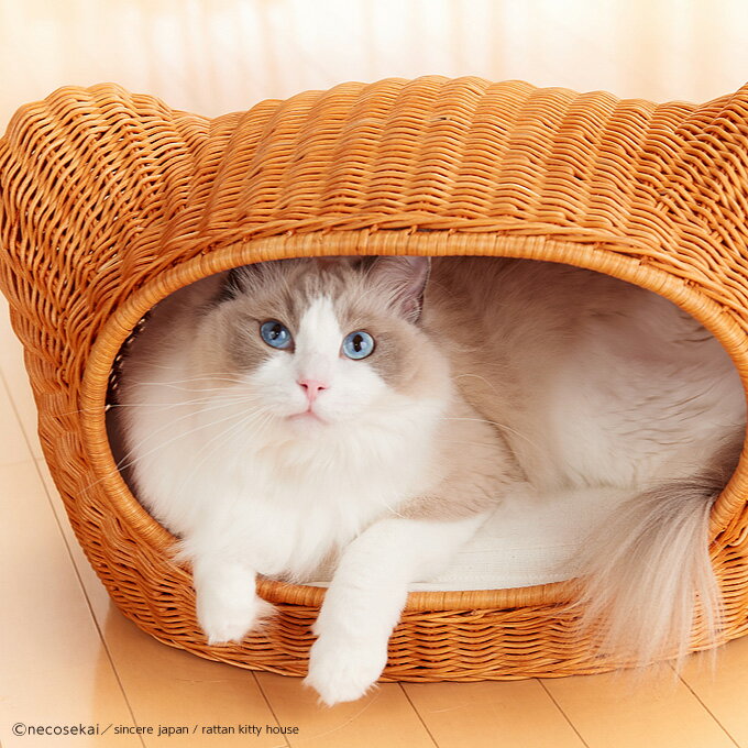 本州 四国 送料無料 Sincere Japan ラタンキティハウス 猫用品 ラタン製ベッド 猫ベッド キャットベッド ペットベッド 猫ソファ キャットソファ ペットソファ ハウス ベット 籐製品 本州 四国 送料無料 Sincere Japan ラタンキティハウス 猫用品 ラタン製ベッド 猫ベッド キャットベッド ペットベッド 猫ソファ キャットソファ ペットソファ ハウス ベット 籐製品