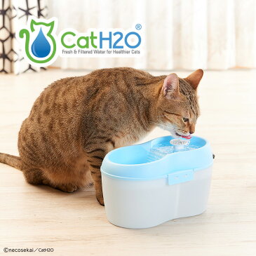 CatH2O キャットエイチツーオー・交換用デンタルケアタブレット 8個入【猫用品／循環式自動給水器】【水飲み 給水器フィルター式 ファウンテン 水 猫用 猫 ねこ ネコ 】