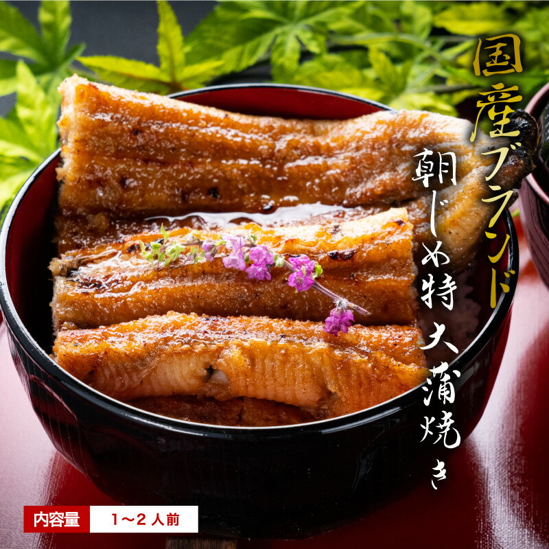 国産 うなぎ 蒲焼き朝じめ活うなぎ 