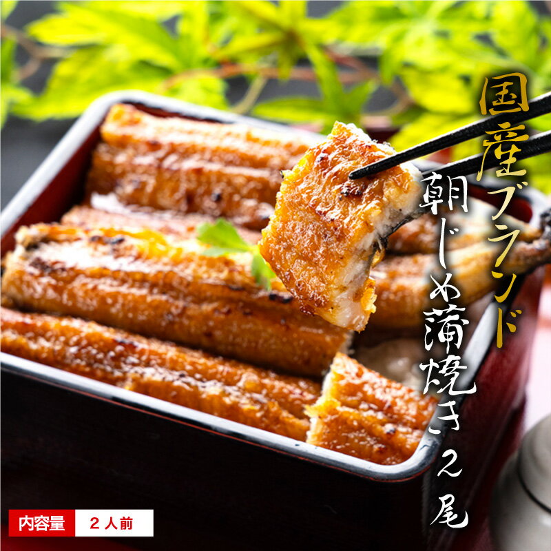 国産 うなぎ 蒲焼き 母の日 ギフト 朝じめ活うなぎ 蒲焼き 2尾 約280〜330g ＼すぐ食べれる冷蔵便／ 焼き立て冷蔵発送 2人前 食べ物 誕生日 お祝い 内祝い お返し 結婚内祝い 蒲焼き 国内産 ウナギ 鰻 ギフト 60代 70代 80代 長蒲焼2尾 出産内祝 プレゼント 父の日