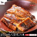 国産 うなぎ 蒲焼き マツコの知らない世界で紹介 特大蒲焼き 2尾 約360~400g 2-3人前 食べ物 誕生日 お祝い 内祝い お返し 結婚内祝い 蒲焼 国内産 食品 ウナギ 鰻 うなぎ蒲焼 長蒲焼2尾セット 60代 70代 80代 出産内祝 ギフト 父の日 御祝 朝じめ活うなぎ プレゼント 土用