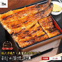 国産 うなぎ 蒲焼き 敬老の日 ギフト 朝じめ活うなぎ 蒲焼き 2尾 約280〜330g \すぐ食べれる冷蔵便/ 焼き立て冷蔵発送 2人前 食べ物 誕生日 お祝...