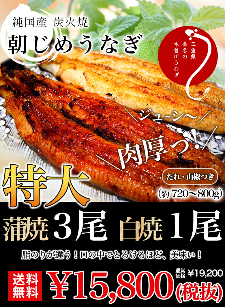 国産 うなぎ 蒲焼き 朝じめ活鰻 特大蒲焼き3尾・白焼き1尾 約720~800g 発送日に焼き上げ発送 ［3-4人前］ 食べ物 誕生日 お祝い 内祝い お返し 結婚内祝い 蒲焼 蒲焼き 国内産 グルメ 送料無料 食品 土用丑 うなぎ 国産 ウナギ 鰻 ギフト プレゼント 冷蔵 うなぎ蒲焼 母の日 3