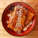 2個以上購入で送料無料！父の日ギフト 真空パック 蒲焼き 約70〜75g 2袋 国産 うなぎ ウナギ ...