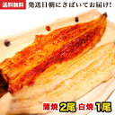 国産うなぎ 朝じめ活うなぎ 蒲焼き2尾・白焼き1尾 合計約420〜450g 発送日に焼き上げ発送 ［2-3人前］ 食べ物 誕生日 お祝い 内祝い お返し 結婚内祝い 蒲焼 蒲焼き 国内産 食品 土用丑 うなぎ 国産 ウナギ 鰻 ギフト プレゼント グルメ 冷蔵 うなぎ蒲焼