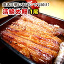 お歳暮 ギフト うなぎ ギフト【朝じめ活鰻 蒲焼き 1尾 約...