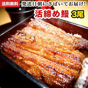 母の日 父の日 ギフト 国産 うなぎ 蒲焼き ＼TVで紹介／ 朝じめ活うなぎ 蒲焼き 3尾 約420〜480g ［3人前］ 食べ物 誕生日 お祝い 内祝い お返し 結婚内祝い 蒲焼 蒲焼き 国内産 食品 土用丑 うなぎ 国産 ウナギ 鰻 プレゼント 送料無料 グルメ 冷蔵 うなぎ蒲焼 高級