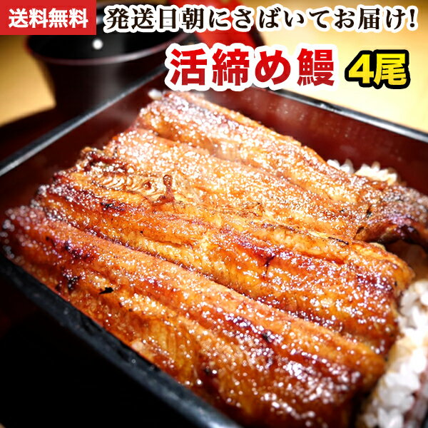 国産 うなぎ 蒲焼き 朝じめ活うなぎ 蒲焼き 4尾 約560～600g 発送日に焼き上げ発送 ［4人前］ 食べ物 誕生日 お祝い 内祝い お返し 結婚内祝い 蒲焼 蒲焼き 国内産 食品 土用丑 うなぎ 国産 ウナギ 鰻 お歳暮 ギフト プレゼント 送料無料 グルメ 冷蔵 うなぎ蒲焼 高級