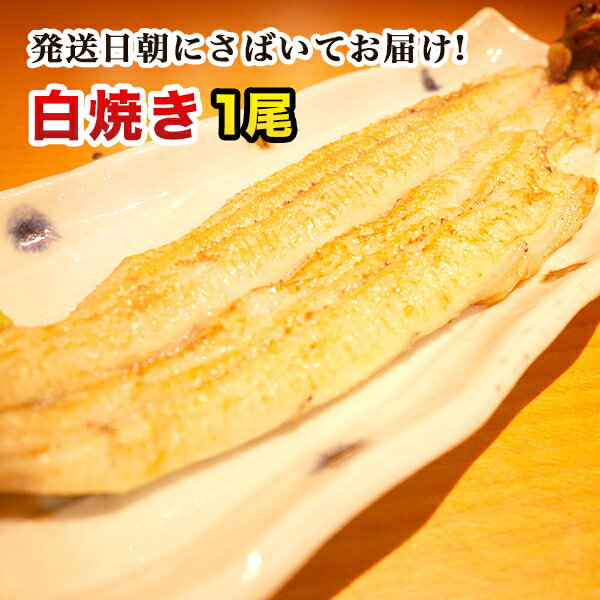 白焼き 国産 うなぎ ギフト 朝じめ活うなぎ白焼き 140～160g前後 1尾 発送日に焼き上げ発送 1人前 鰻 プレゼント 食べ物 誕生日 お祝い 内祝い お返し 結婚内祝い 退職祝い 花以外 ウナギ 蒲焼 蒲焼き 国産 国内産 国産うなぎ グルメ 食品 土用丑 お歳暮