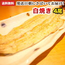 国産 うなぎ 白焼き 朝じめ活鰻 白焼き 4尾 約560〜600g 発送日に焼き上げ発送！［4人前］国産 うなぎ ウナギ 鰻 国内産 グルメ 食べ物 誕生日 お祝い お礼 お返し 父の日 内祝い 退職祝い 花以外 父の日 プレゼント ギフト 食べ物 食品 お中元 御中元 炭火焼き