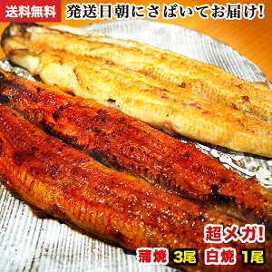 国産 うなぎ 蒲焼き 朝じめ活鰻 特大蒲焼き3尾・白焼き1尾 約720~800g 発送日に焼き上げ発送 ［3-4人前］ 食べ物 誕生日 お祝い 内祝い お返し 結婚内祝い 蒲焼 蒲焼き 国内産 グルメ 送料無料 食品 土用丑 うなぎ 国産 ウナギ 鰻 ギフト プレゼント 冷蔵 うなぎ蒲焼 母の日