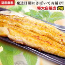 国産 うなぎ 特大白焼き 朝じめ活うなぎ特大白焼き 2尾 約360～400g 発送日に焼き上げ発送  食べ物 誕生日 お祝い 内祝い お返し 結婚内祝い 蒲焼 蒲焼き 国内産 食品 土用丑 うなぎ 国産 ウナギ 鰻 プレゼント 送料無料 グルメ 冷蔵 うなぎ蒲焼 父の日 ギフト