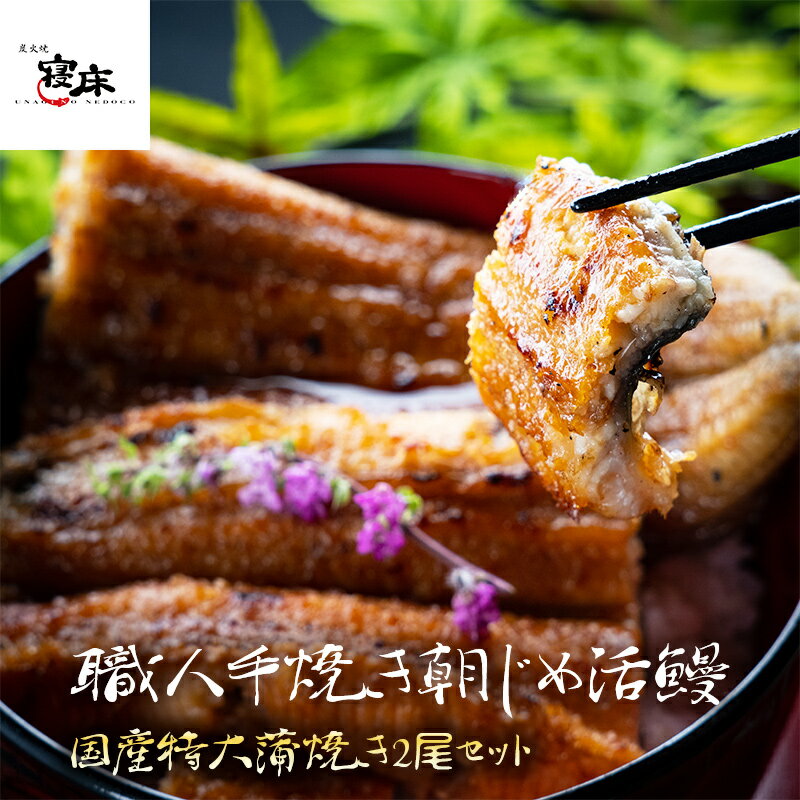 楽天炭火焼うなぎの寝床国産 うなぎ 蒲焼き 母の日 ギフト 朝じめ活うなぎ 特大蒲焼き 2尾 約360〜400g 2-3人前 食べ物 誕生日 お祝い 内祝い お返し 結婚内祝い 蒲焼 国内産 食品 ウナギ 鰻 うなぎ蒲焼 長蒲焼2尾セット 60代 70代 出産内祝 敬老の日 プレゼント ギフト 父の日