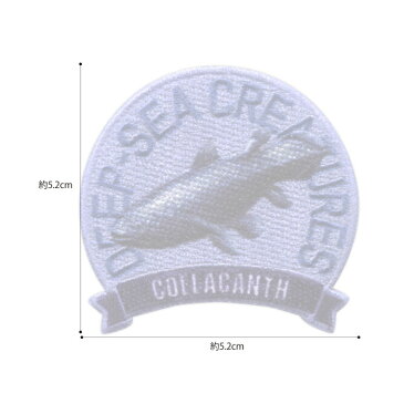 ▼「学研の図鑑LIVE」深海生物 (シーラカンス)アイロン・シール両用接着ワッペン　ZL650-ZL08　(メール便可)