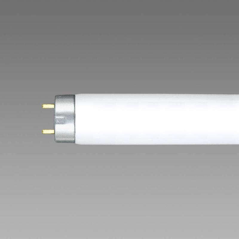 NECライティング 昼白色 FL6N/8N/10N/15N