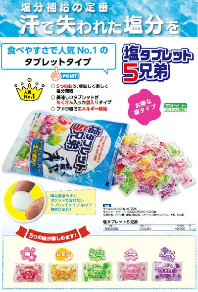 【10袋】塩タブレット 5兄弟　塩タブ 1袋／500g（ 個 装 ）×10袋 5種類の味！ ・ウメ ・レモン ・ミックスフルーツ ・ピーチ ・グレープ レクノス　ランドアート【 熱中症予防 】 needs-koko-store-10007277 ニコスト 金物 サンプル画像2