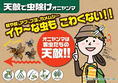 天敵で虫除け オニヤンマ品番 : M-42ハチ...の紹介画像2