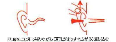 ��˥ե��åȡ�1��(2��)EP��151��������̵������NRR(ANSI)�͡�32SNR(CE)�͡�37�ڡ�ELVEX����