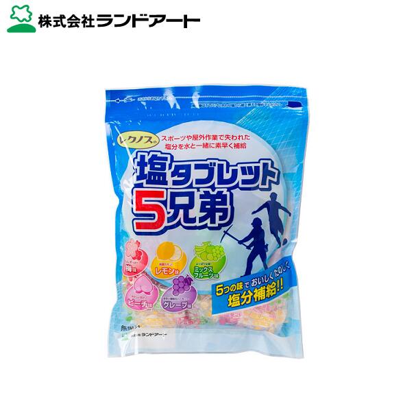 《2026年入荷》塩タブレット 5兄弟 1袋 ／ 500g　約185粒（ 個 装 ） 塩タブ　5種類の味！ ・ウメ ・レモン ・ミックスフルーツ ・ピー..