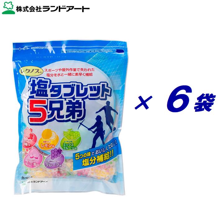 まとめてお得！！ 6袋（ 500g × 6袋 ） 塩タブ　アソート5味 ジップ袋入り　（　個装　約185粒　） シオタブ　　塩タブ ◆熱中症対策グッズ・環境対策に ◆塩分補給 ◆水分・エネルギー補給 ◆学校・スポーツ・イベント・作業現場・運送業での熱中症予防に 熱中症あめ・熱中あめ・熱中飴・塩飴などより溶けにくいので持ち運びに便利です。 屋外・屋内で失われた塩分を水と一緒に素早く補給できます。 【 内容量 】 ・500g 【 粒　数 】 ・約185粒 【 味 ： 5種類 】 ・ 梅味 ・ レモン味 ・ ミックスフルーツ味 ・ ピーチ味 ・ グレープ味 【 原材料 】 ・ ブドウ糖 ・ ステアリン酸カルシウム ・ 食塩 ・ 酸味料 ・ 香料 ・ 甘味料