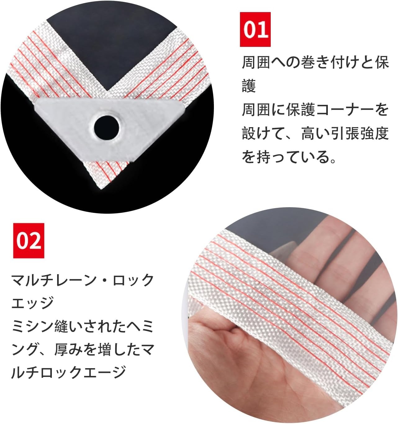 �ڥ�����˭�١�2m����5m�����ǽ���۱����� �ɿ�Ʃ�������� (5m�������դ�) ���褱������ �٥��� ���򤱥����� ��� ������������ ���褱 ��ʪ �ɿ奷���� ���� Ʃ�� �ɿ� �ӥˡ��륷����