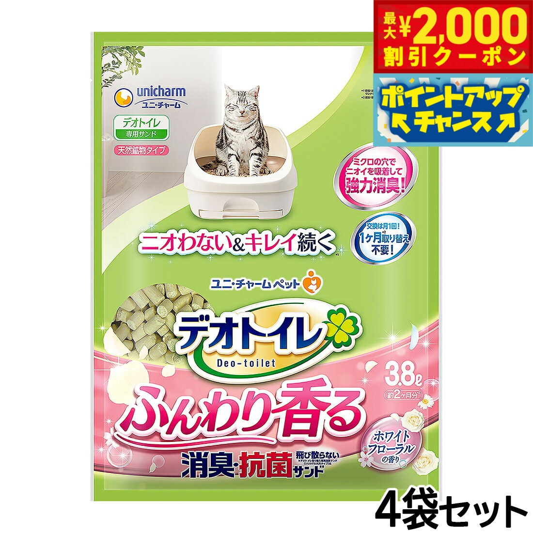 �ں���2000��OFF�����ݥ󡪡�Ź��ݥ���Ⱥ���56�ܡ��������ꡪ�ۥ�� ���㡼�� �ǥ��ȥ��� �դ�����ý� ���ݥ���� �ۥ磻�ȥե������ι�� 3.8...