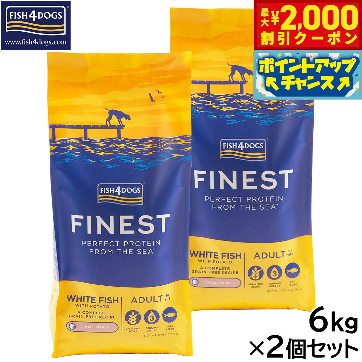 �ں���2000��OFF�����ݥ󡪡�Ź��ݥ���Ⱥ���56�ܡ��������ꡪ�ۥե��å���4�ɥå� FISH 4 DOGS �ɥå��ա��� �ե����ͥ��� ���������ۥ磻��...