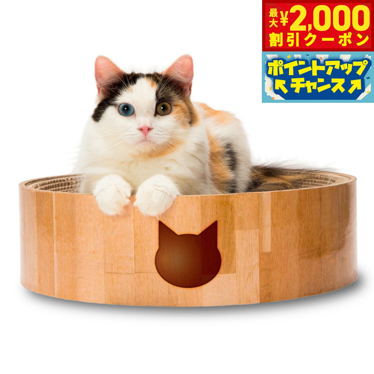 �ں���2000��OFF�����ݥ󡪡�Ź��ݥ���Ⱥ���56�ܡ��������ꡪ��ǭ�� �Х�Х�ܥ��� ǭ�� ǭ �ޤȤ� �ޤߤ��� ����ܡ��� ����ȭ��