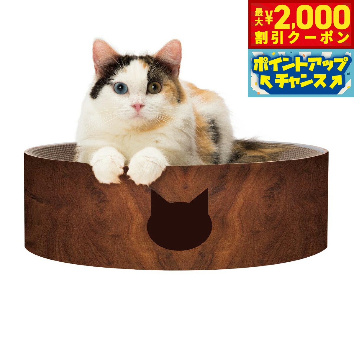 �ں���2000��OFF�����ݥ󡪡�Ź��ݥ���Ⱥ���56�ܡ��������ꡪ��ǭ�� �Х�Х�ܥ��� ǭ�� �������֥饦�� ǭ �ޤȤ� �ޤߤ��� ����ܡ��� ����ȭ��