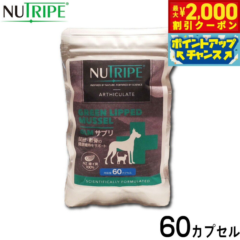 �ں���2000��OFF�����ݥ󡪡�Ź��ݥ���Ⱥ���56�ܡ��������ꡪ�ۥ˥塼�ȥ饤�� ���ץ���� GLM���ץ� 60���ץ��������̵���� ���륳���ߥ� �����...