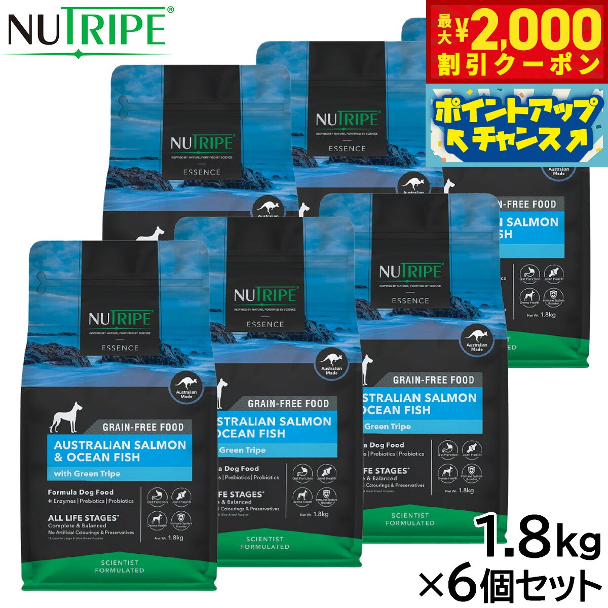 �ں���2000��OFF�����ݥ󡪡�Ź��ݥ���Ⱥ���56�ܡ��������ꡪ�ۥ˥塼�ȥ饤�� GF�ɥ饤 �ɥå� ���������ե��å��� with ���꡼��ȥ饤�� 1....