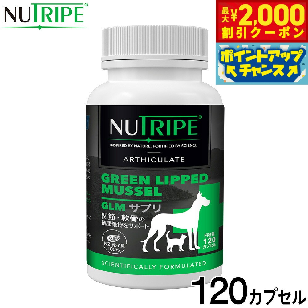 �ں���2000��OFF�����ݥ󡪡�Ź��ݥ���Ⱥ���56�ܡ��������ꡪ�ۥ˥塼�ȥ饤�� ���ץ���� GLM���ץ� 120���ץ��������̵���� ���륳���ߥ� ����...