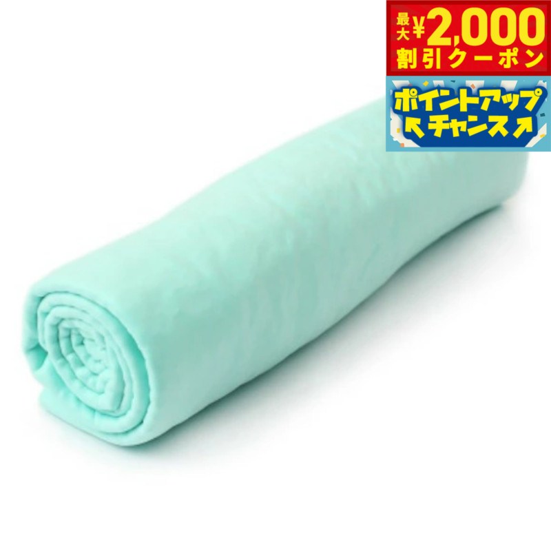 【最大2000円OFFクーポン！＆店内ポイント最大52倍！本日限定！】Petifam ペティファーム 超吸水ラバータオル グリーン 犬 ペットタオル 超吸水タオル PVAスポンジ 吸水速乾 柔らかい 専用ケース付き アウトドア おでかけ コンパクト 持ち運び