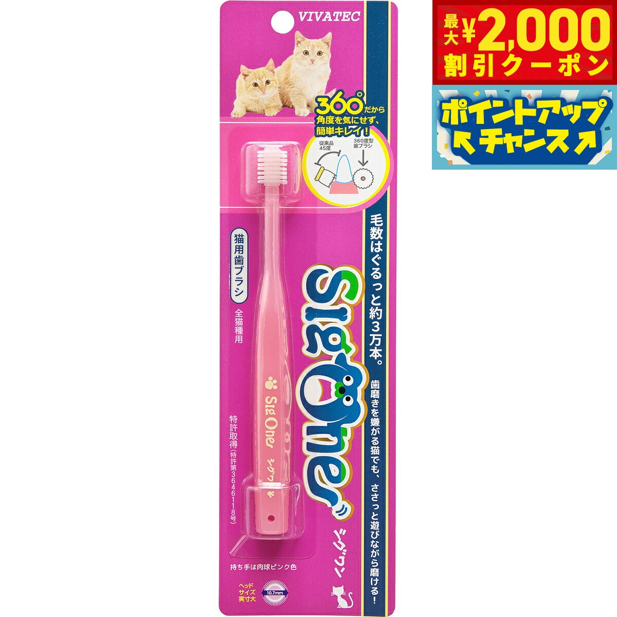 �ں���2000��OFF�����ݥ󡪡�Ź��ݥ���Ⱥ���56�ܡ��������ꡪ�ۥ������ ǭ�ѻ��֥饷