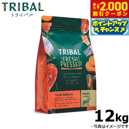 �ں���2000��OFF�����ݥ󡪡�Ź��ݥ���Ⱥ���56�ܡ��������ꡪ�ۥȥ饤�Х� ������ɥץ쥹 �ɥå��ա��� �ե�å��奵����� 12kg ̵ź�� �� ��ʪ��...