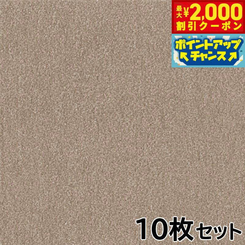 �ں���2000��OFF�����ݥ󡪡�Ź��ݥ���Ⱥ���56�ܡ��������ꡪ�ۥ������ڥåȥե��� WPF03 �⥫ 10��