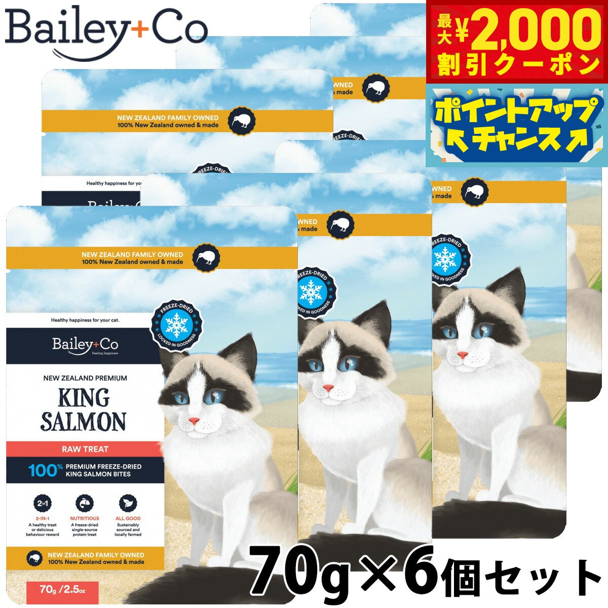 【最大2000円OFFクーポン！＆店内ポイント最大52倍！マラソン限定！】ベイリーコー Bailey＋Co キャッ..