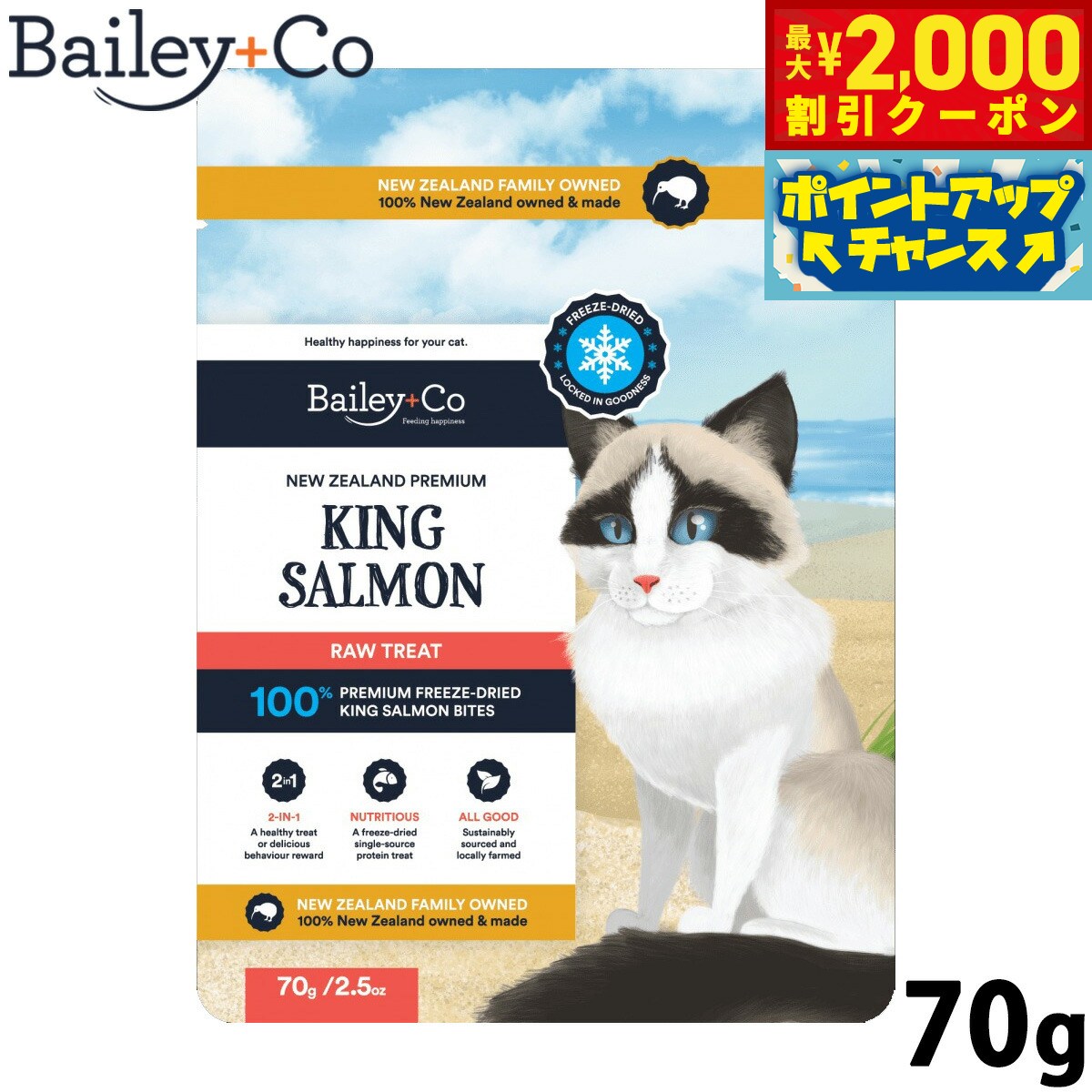 【最大2000円OFFクーポン！＆店内ポイント最大52倍！マラソン限定！】ベイリーコー Bailey＋Co キャッ..