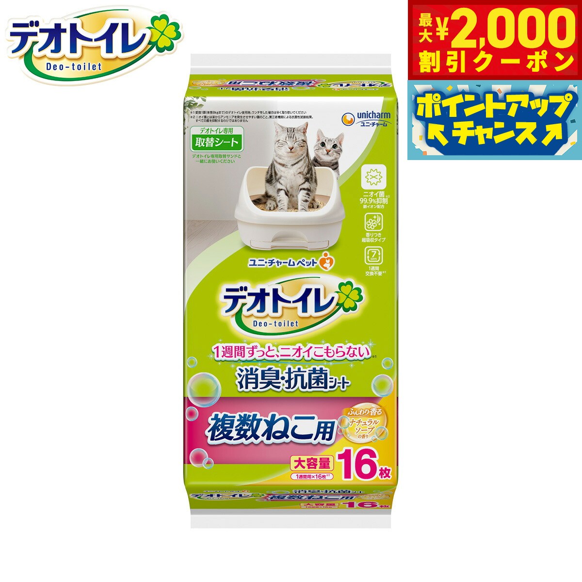 �ں���2000��OFF�����ݥ󡪡�Ź��ݥ���Ⱥ���52�ܡ��ޥ饽����ꡪ�ۥ�� ���㡼�� �ǥ��ȥ��� ʣ���ͤ��� �դ�����ý� ���ݥ����� �ʥ����륽���פι�� 16���� ǭ�� �����ƥ�ȥ���