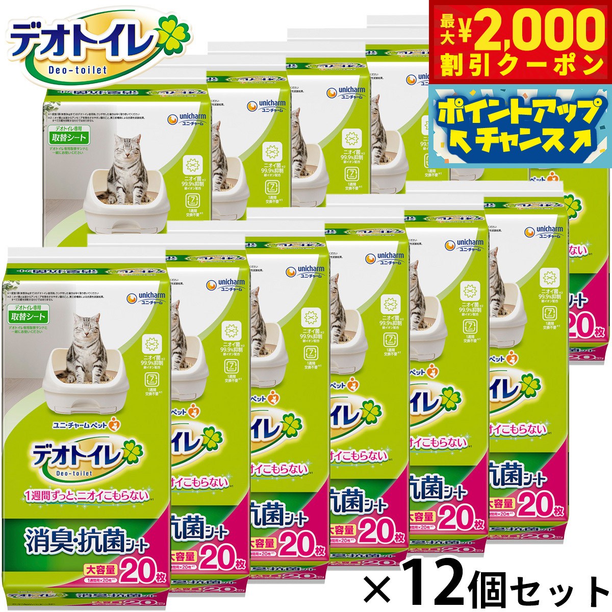 �ں���2000��OFF�����ݥ󡪡�Ź��ݥ���Ⱥ���52�ܡ��ޥ饽����ꡪ�ۥ�� ���㡼�� �ǥ��ȥ��� �ý� ���ݥ����� 20������12�ĥ��å� ǭ�� �����ƥ�ȥ���