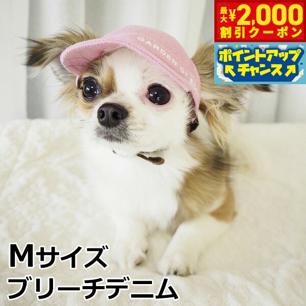 【最大2000円OFFクーポン！＆店内ポイント最大52倍！本日限定！】犬の帽子 ガーデンオブエデン DENIMワークCAP Mサイズ ブリーチデニム