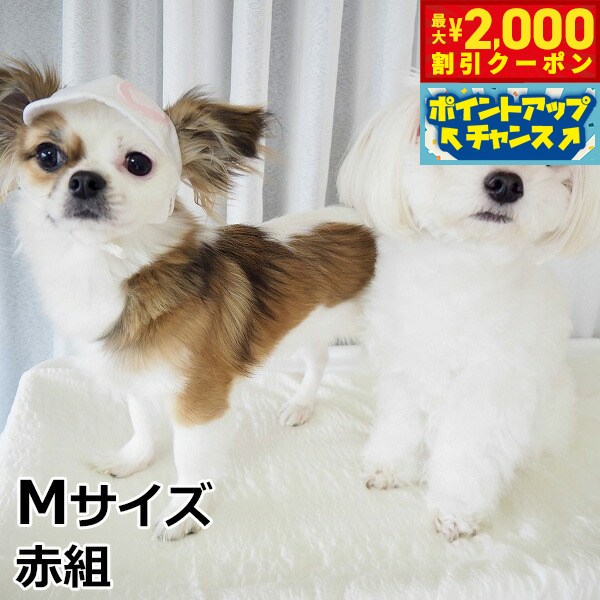 【最大2000円OFFクーポン！＆店内ポイント最大52倍！本日限定！】犬の帽子 ガーデンオブエデン 赤白帽 Mサイズ 赤組