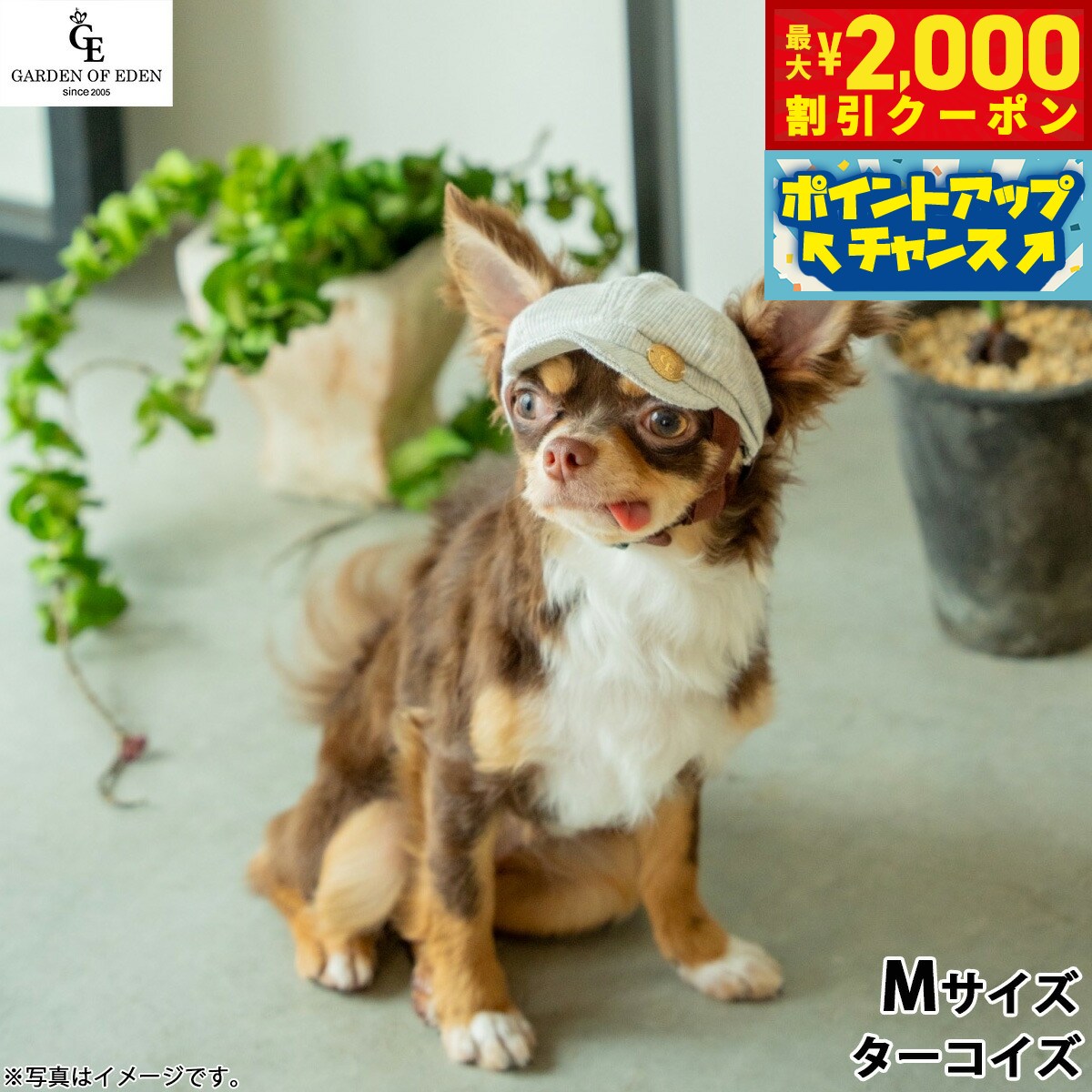 【最大2000円OFFクーポン！＆店内ポイント最大52倍！本日限定！】犬の帽子 ガーデンオブエデン オーガニックコットンキャスケット M ターコイズ【送料無料】 おしゃれ ファッション お出かけ