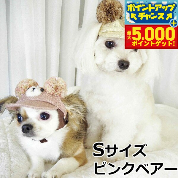 �ں���5000pt�Хå���14��10�����۸���˹�� �����ǥ󥪥֥��ǥ� ����餳����CAP S������ �ԥ󥯥٥���