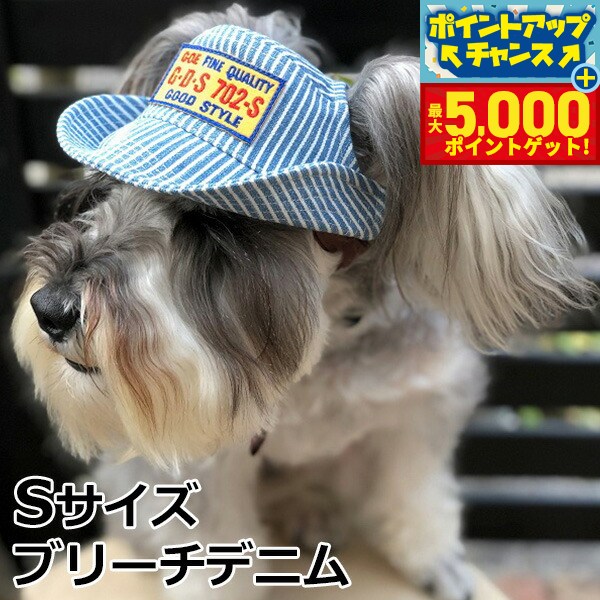 �ں���5000pt�Хå���14��10�����۸���˹�� �����ǥ󥪥֥��ǥ� D��H�ƥ󥬥���ϥå� S �֥꡼���ǥ˥� ������� �İ��� ������